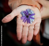 Gardening Finger Rhyme