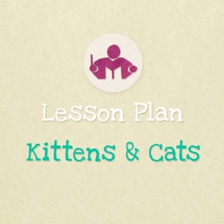 Kittens & Cats lesson Plan
