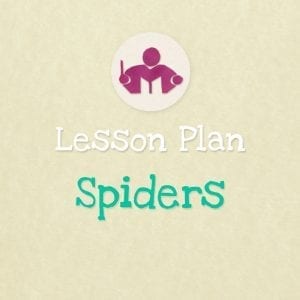Spiders Lesson & Activity Plan