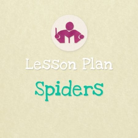 Spiders Lesson & Activity Plan