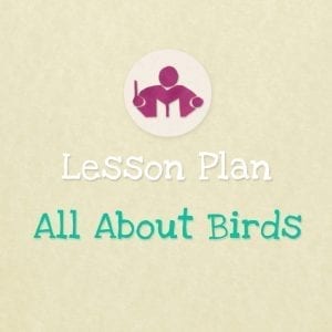 All About Birds lesson plan