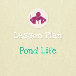 Pond Life lesson Plan